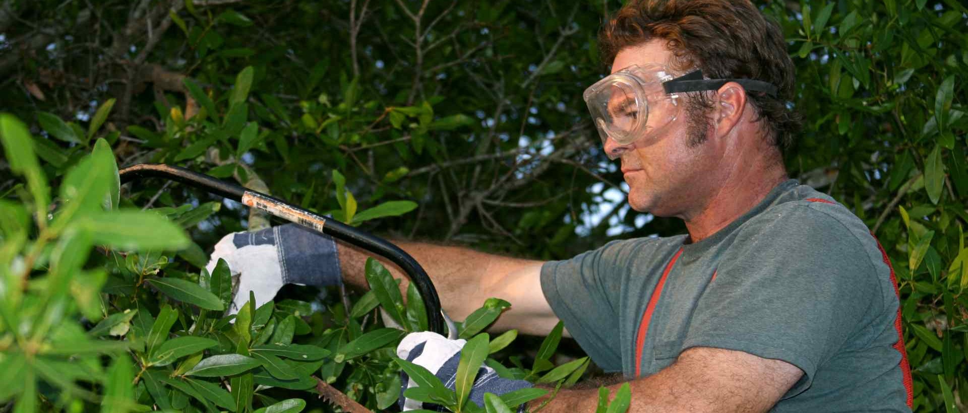 garden clearance WD23