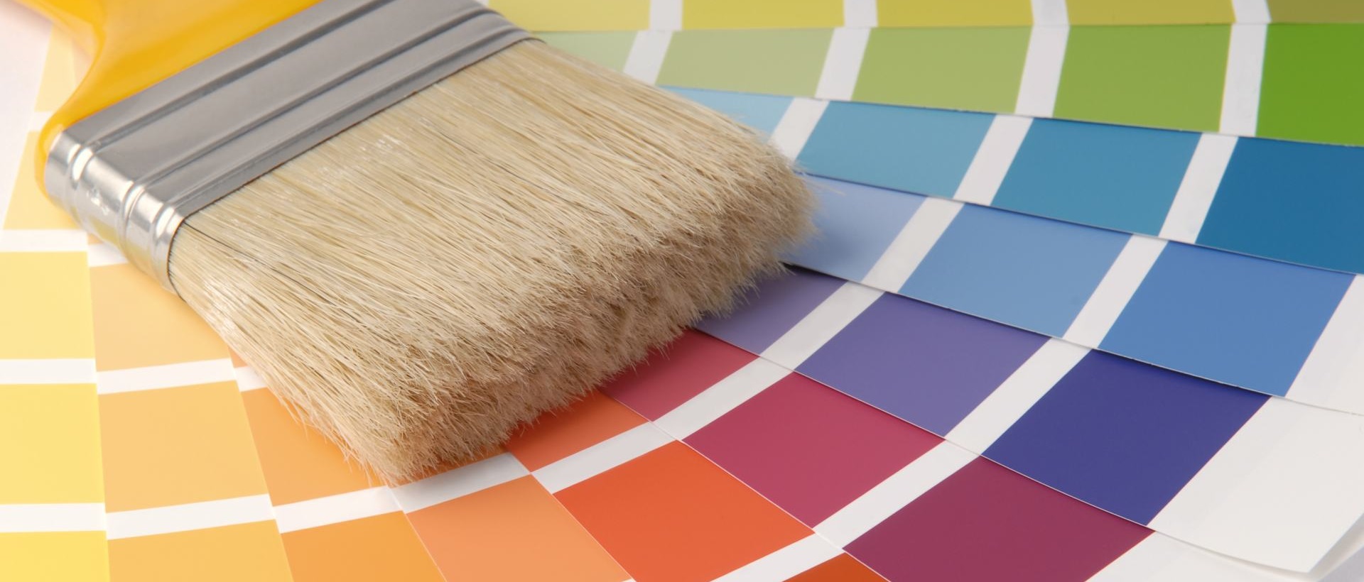 Painter WD23